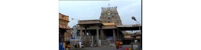 60. திருவல்லிக்கேணி (சென்னை)